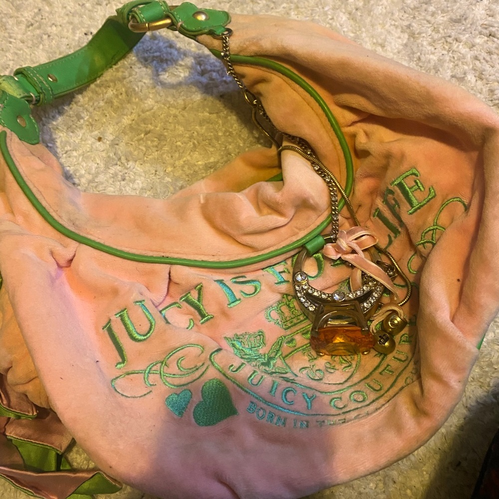 Vintage velour juicy couture purse.